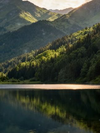 #宝宝辅食  #辅食教程  #小月龄辅食  #简单又营养 #馄饨皮