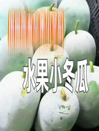 【现摘现发】水果小冬瓜迷你冬瓜新鲜采摘可生吃凉拌炖菜冬瓜 #优质农产品 #水果小冬瓜 #小冬瓜 #现摘现发新鲜到家 #冬瓜汤
