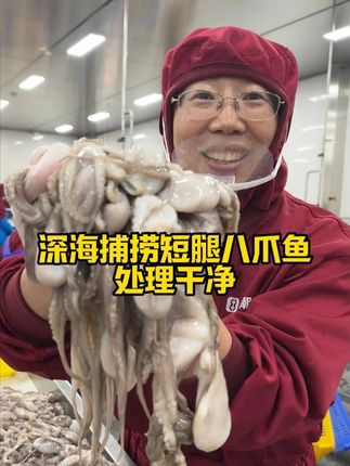 深海捕捞短腿八爪鱼,口感脆嫩,处理干净! #八爪鱼 #海鲜美食 #优惠活动火爆进行中