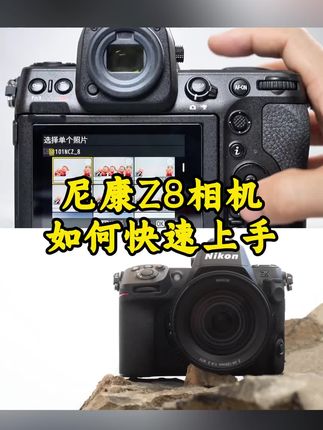 尼康Z8相机如何快速上手?#摄影