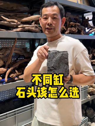 一条视频告诉你什么石头应该配什么缸 #养鱼日记 #鱼缸造景 #水族