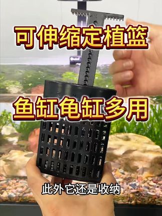 鱼缸水培篮定植篮水质净化家居绿化水培鱼缸装饰造景鱼缸水培挂篮#鱼缸装饰 #水培篮 #水质净化 #家居绿化 #鱼缸水培