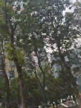 算盘珠儿童心算术幼儿园小学生计算架数数棒加减法启蒙氏教学教具#计算架 #学生计算架 #儿童计算架 #算盘珠 #计算架推荐