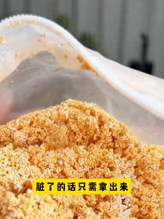 脏了拿出来清洗一下还能反复使用 #观赏鱼#养鱼日记#海洋生物#水族#养鱼人