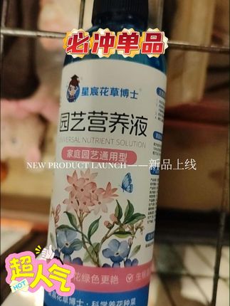 想要养好花,这一步真的很关键#花卉绿植#养花