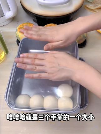 洁思奥 带盖不锈钢烤盘长方形托盘食品级保温加厚家用 #加厚托盘 #家用托盘 #托盘 #保温托盘 #不锈钢托盘