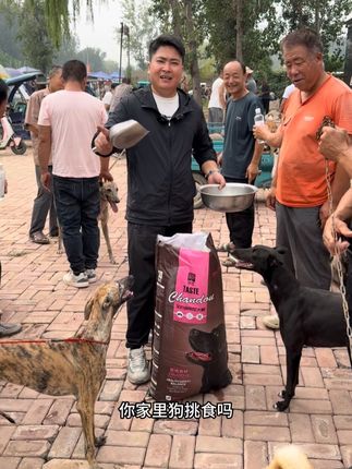 狗狗挑食狗狗瘦的这样的好狗粮吃起来#狗粮推荐 #源头工厂