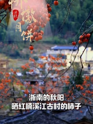 长辈都夸的中秋礼!桥墩月饼,古早味藏在酥脆里。 #温州桥墩月饼 #月饼 #温州大月饼 #月饼礼盒 #吃货必备