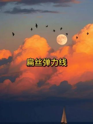 新款耐磨扁丝弹力线,高弹力穿串规整,不磨损孔道#种草好物#抖音美好丰收节#男士神仙单品#在抖音入手的好东西#无限回购的宝藏单品