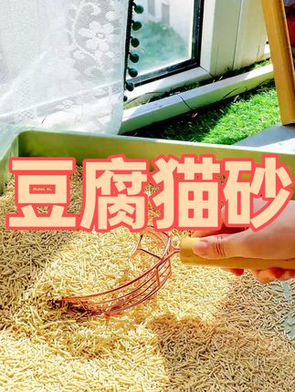 作为月入四位数的月光族选猫砂既要好用又要划算,试试这款豆腐砂 #猫砂 #平价猫砂 #猫砂推荐