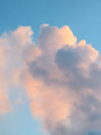 自粘磨砂玻璃贴纸卧室浴室透光不透明玻璃贴窗户阳台遮光优质窗花#自粘磨砂玻璃贴纸