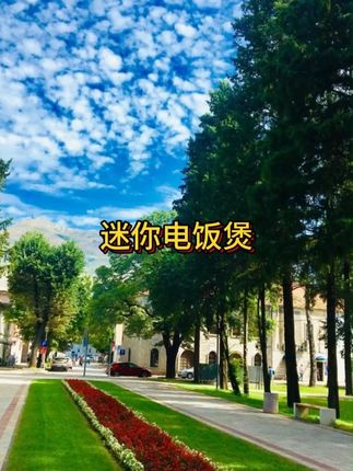 好看又实用迷你电饭煲,特别适合1到3人使用,可蒸可煮可焖可煲汤,家里来一个,很不错##厨房小家电 #电饭煲美食 #迷你电饭煲 #半球电饭锅 #电饭煲