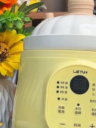 陶瓷微压小电炖锅,宝宝辅食煮粥煲汤神器! #宝宝煮粥 #陶瓷小电炖锅 #婴儿辅食锅 #小电炖锅 #宝宝煲汤锅