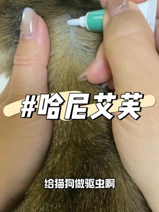 一支到手才个位数,这波羊毛赶紧薅#猫咪 #萌宠好物 #萌宠出道计划 #科学养宠攻略 #驱虫