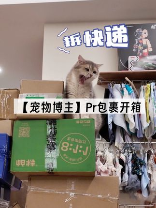 宠物博主的Pr包裹开箱: 又是被各大品牌的爱意吞没的一天,感谢感谢!#萌宠好物#拆快递 #开箱视频 #pr包裹 #老歪家日常