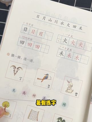 QL暑假练字,一本就够了,提前熟悉下学期生字,同时再练一练笔顺。#练字 #少儿硬笔书法