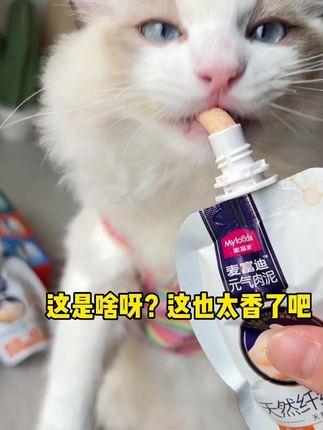 麦富迪猫咪零食天然纤维元气肉泥混合口味 96%高含肉量成幼猫#麦富迪肉泥 #猫咪零食 #高含肉量 #天然纤维 #混合口味