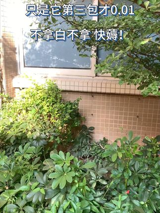 【推荐买3件】心相印茶语经典抽纸压花抽取家用面巾纸加量110抽*1包#心相印纸巾