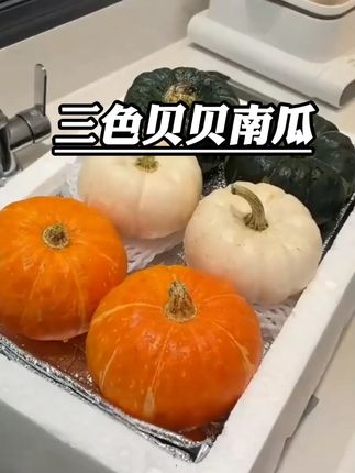 贝贝南瓜三拼装奶油贝贝南瓜绿贝贝金贝贝白贝贝南瓜组合三色南瓜#农产品 #软糯香甜 #应季水果 #新鲜采摘 #在抖音入手的好东西
