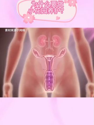告别异味烦恼,温和保护小花园健康! 这个东西真的太好用了! #护理 #女性保养