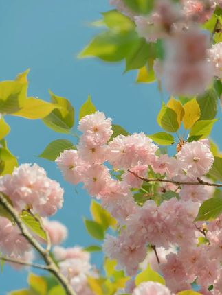 这个七色糙米好吃健康[趁着有活动,赶紧来看看#粗粮 #七色米糙米 #代餐 #米饭 #好物推荐 1