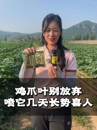 鸡爪叶别放弃!喷它,几天变样长势喜 #西葫芦种植 #病毒病防治 #病毒病防治 #病毒病