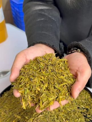 谁说茶碎没好货?这黄金芽茶碎 3 秒出汤,鲜到眯眼! #好物推荐🔥 #喝茶 #茶叶 #口粮茶推荐 #黄金芽