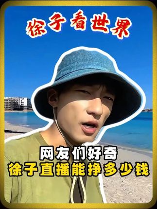 网友们好奇 徐子直播能挣多少钱-査盼盼 #徐子 #海外生活 #记录日常 #一个徐子