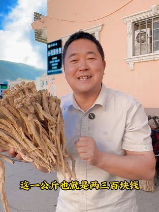 你知道平时大几百的老党参在原产地多便宜吗???#党参 #当归哥 #三农 #我为家乡农产品代言