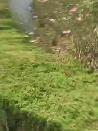 #小锯片套装