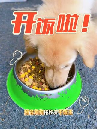 满满冻干添加的狗粮,轻松拿捏挑食狗狗,现在下单还送好礼哦!#狗粮 #狗粮推荐 #沐乐凡