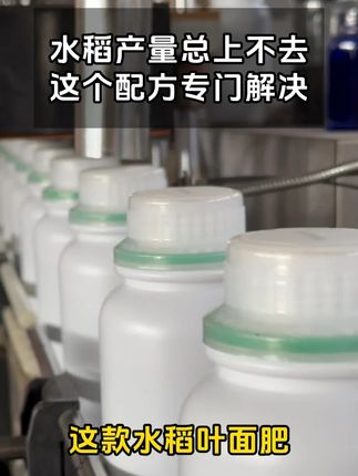还在为低产发愁?这款叶面肥让你水稻大丰收! #种植小技巧 #三农 #农业种植 #水稻种植