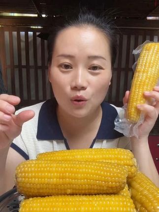 (试吃3根)东北黄糯玉米产地直发独立真空包装 #东北粘玉米 #玉米 #软糯香甜 #粗粮 #新鲜糯玉米低脂甜糯 @DOU+上热门 @DOU+小助手