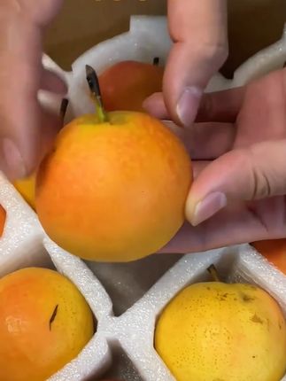 #南果梨 #南果梨的味道 #南果梨果汁 #南果梨原产地 #好吃