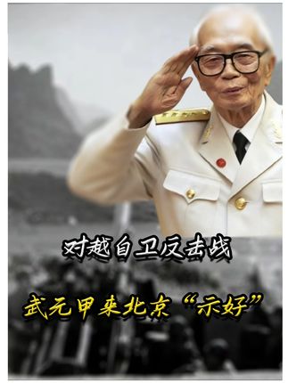 对越自卫反击战,越南损失惨重,武元甲来北京“示好” #军武正当燃 #硬核深度计划 #青年创作者成长计划 #对越自卫反击战