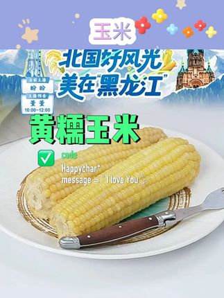 【稻香金界沟】黄糯玉米#香甜软糯 #黄糯玉米 #玉米 #稻香金界沟 #糯玉米
