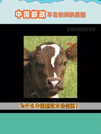 我的偶像巨顽皮