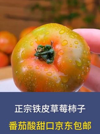 终于吃到了小时候味道的番茄,这种西红柿吃着就一点都不无聊,酸甜度还刚刚好#嘎嘎好吃 #番茄 #西红柿 #Z