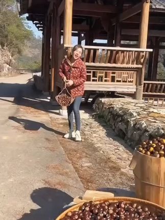 这里的板栗太便宜了,19.9元5斤新鲜板栗,你还在等什么?#农产品 ##大自然的馈赠 ##板栗