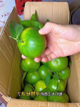 #寻乌蜜橘 #水果 #橘子 #推荐