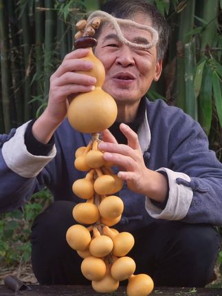 微风轻拂时轻轻摇曳,为生活添一丝灵动与禅意。 #达人带货 #带货视频 #好物分享 #在抖音入手的好东西