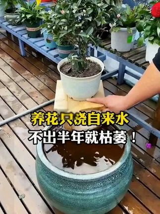 好物分享 【元泰丰种植舍专属】元泰丰营养棒缓释棒通用盆栽绿植