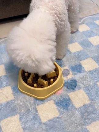 宠物慢食碗小中大型犬泰迪金毛防噎碗防滑缓食盆狗盆狗碗宠物用品