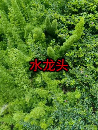 #面盆水龙头 #冷热双控 #厨卫配件