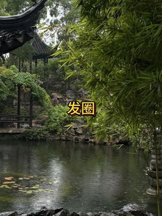 这个必脸还大的发圈甜美减龄又百搭!真的巨显脸小!!! #发饰 #发圈头绳 #仙女必备 #在抖音入手的好东西#无限回购的宝藏单品