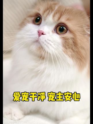 这次不是一支,也不是一盒,而是整整六盒,每月定期驱虫一次 #萌宠好物 #猫咪 #科学养宠攻略 #养猫人 #萌宠出道计划