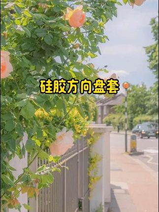 汽车硅胶方向盘套,防滑耐磨透气手感好。#方向盘套 #汽车用品 #汽车好物