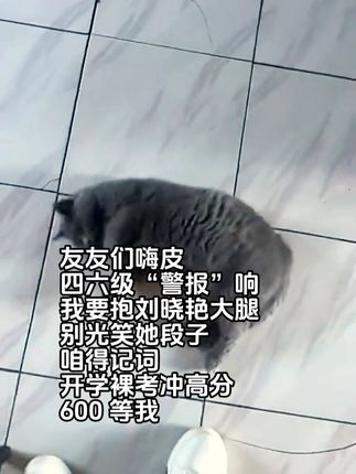 暑假开始备考四六级冲刺600+,只需这个通关礼盒,别的都不需要了#英语四六级