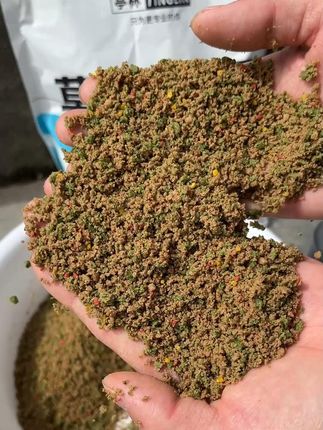 钓草鱼如果你用玉米坐钓效果总是不理想,不妨试试这款草鱼狂开口 #爆护饵料 #草鱼狂开口 #草鱼饵料 #黑坑草鱼