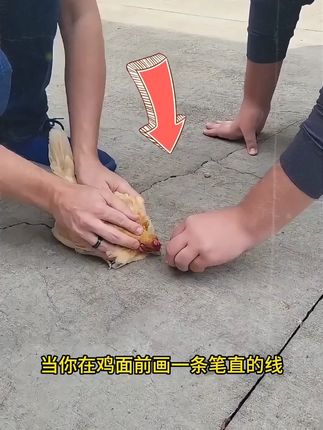 物理化学很重要,推荐给孩子看这套漫画物理,让孩子爱上物理化,未来学习不发愁#育儿#童书推荐#物理启蒙